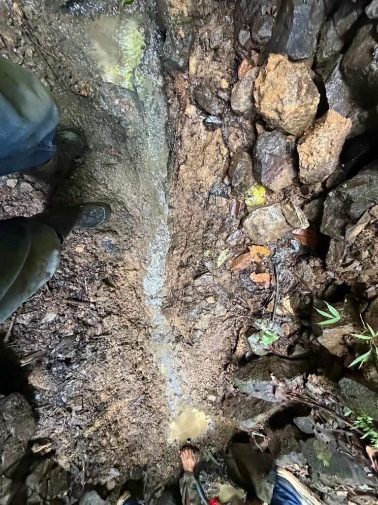 Site visit on a forested property during an environmental assessment