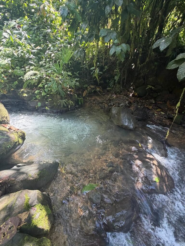 Clear natural water source assessed for a water availability study in Costa Rica