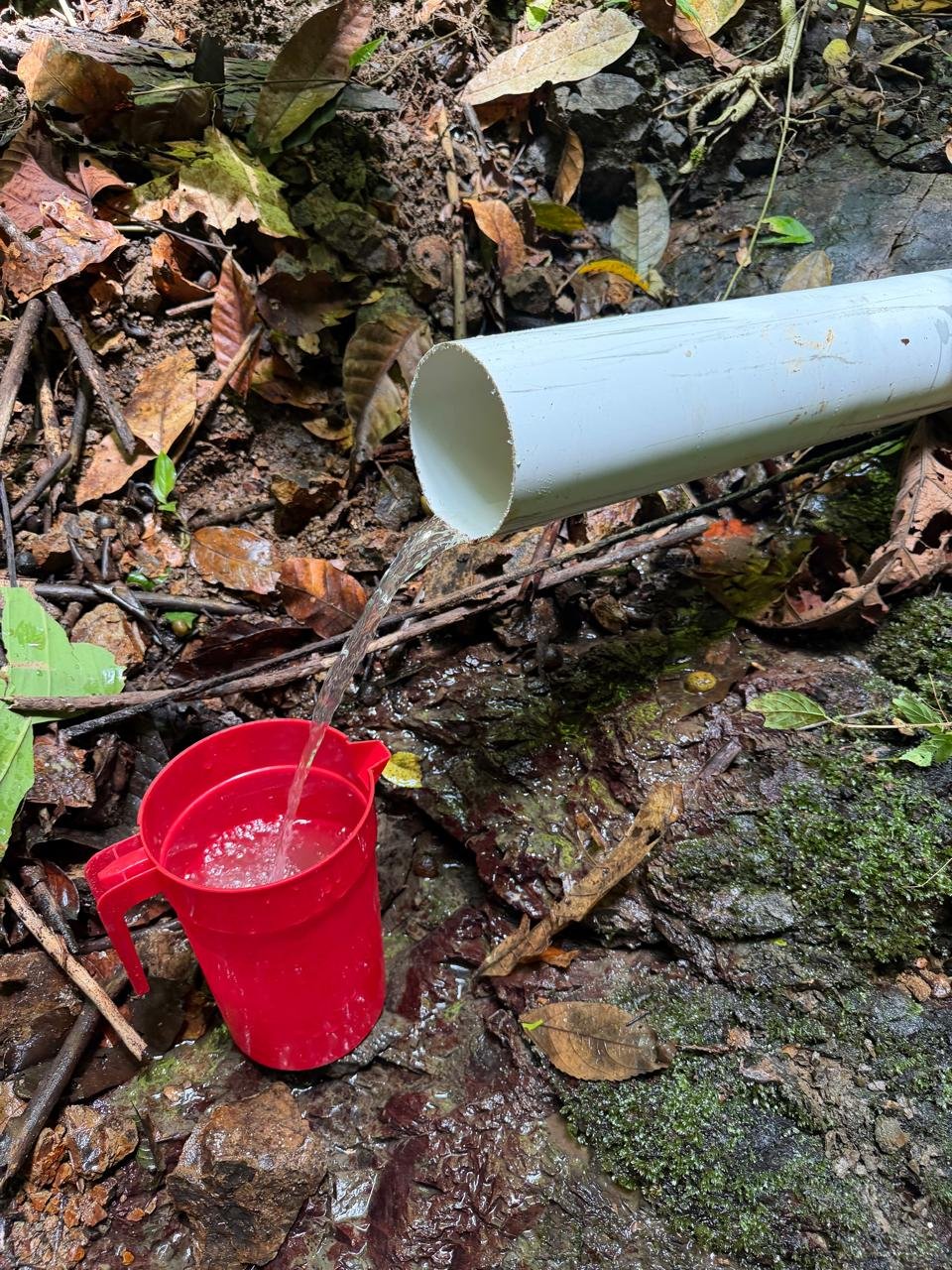 Clear water sample from a rural water source in Costa Rica