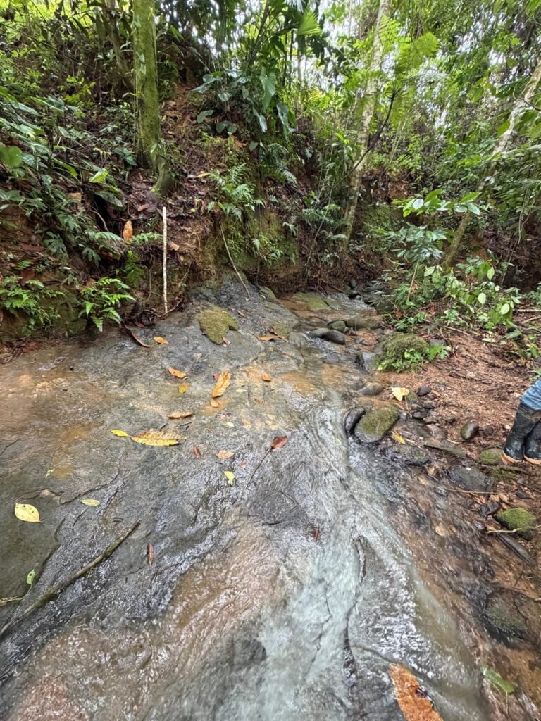 PVC pipe and water source assessed during a property due diligence visit in Costa Rica