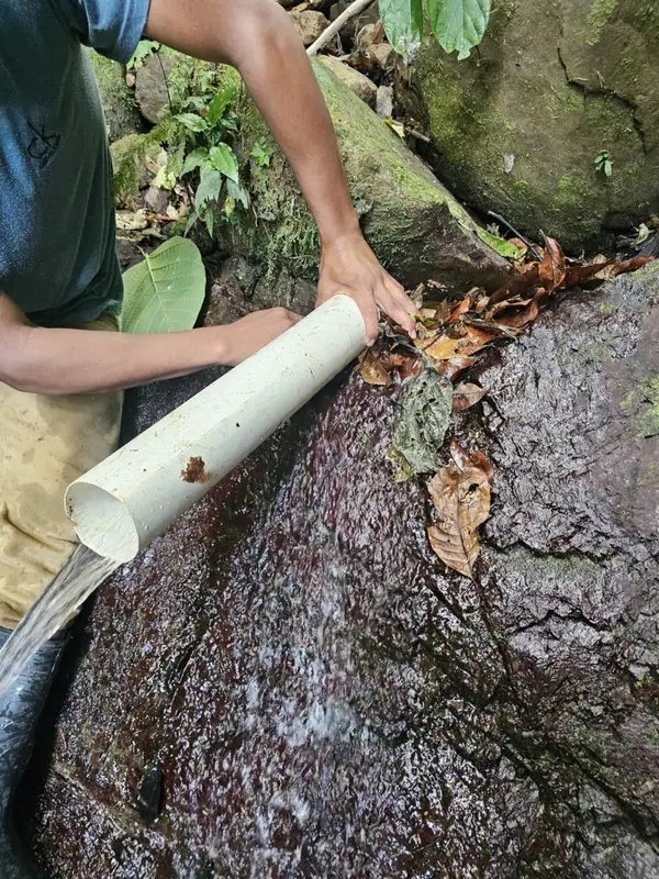 Colocando tubería PVC en un nacimiento de agua en el bosque, Costa Rica